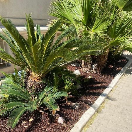 Casa Cacao Pres Plage Et Velodrome Marsylia Zewnętrze zdjęcie
