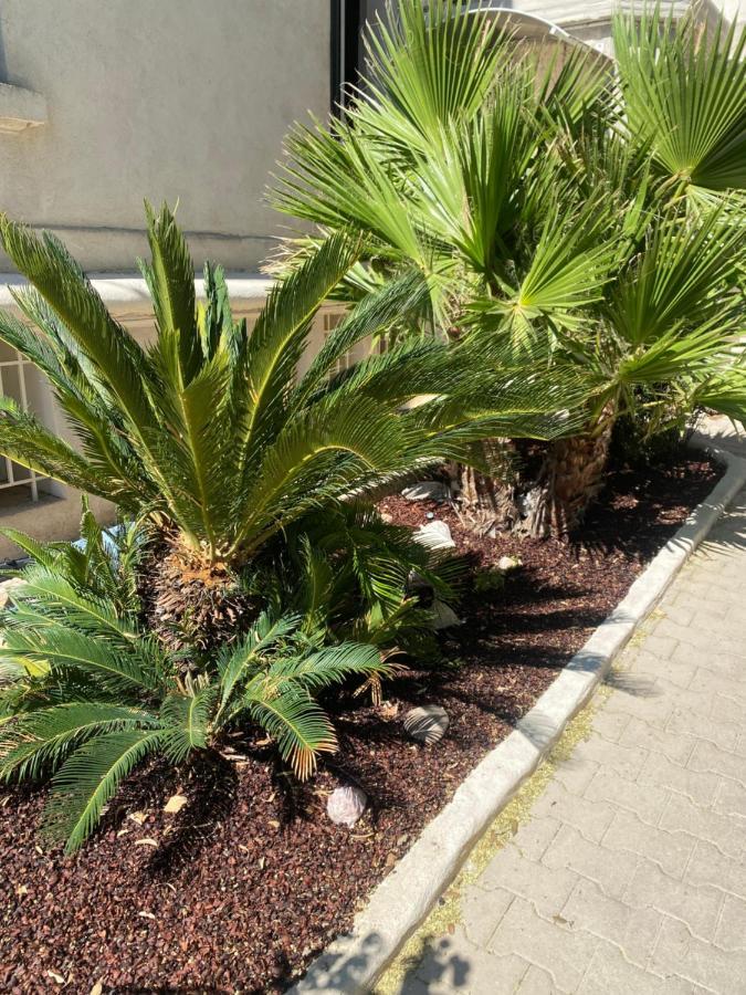 Casa Cacao Pres Plage Et Velodrome Marsylia Zewnętrze zdjęcie